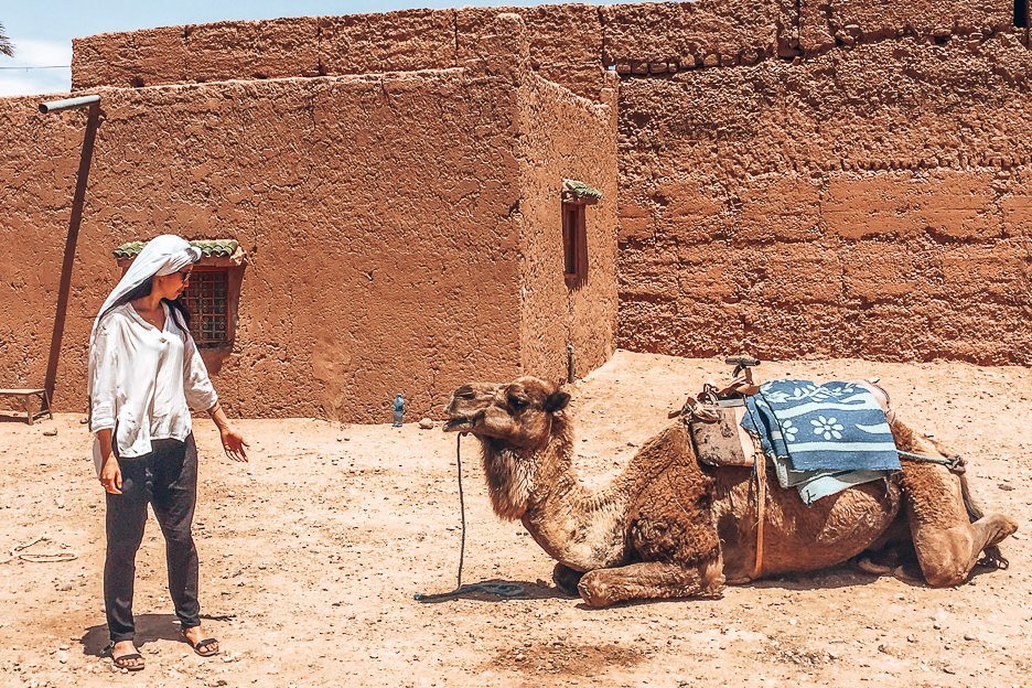 A woman stands facing a kneeling camel in Morocco