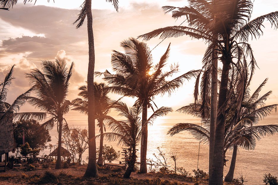 Sunrise through the palm at Thousand Islands, Nusa Penida, Bali Gallery