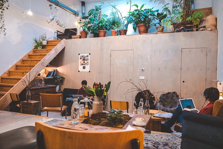 The back room in White Label Coffee with couches and potted green plants