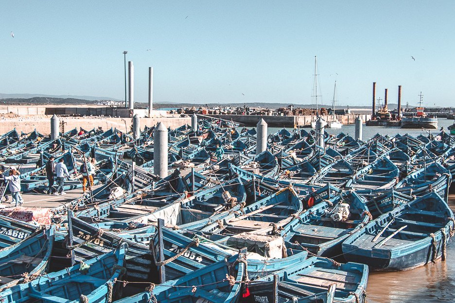 Empty blue fishing boats fill the harbour Essaouira Morocco