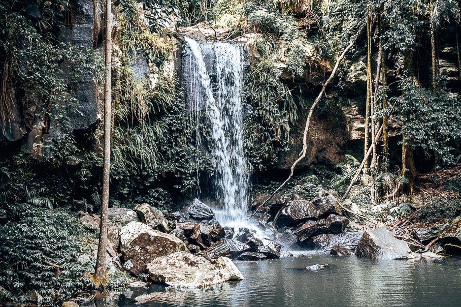 Curtis Falls in Tamborine Mountain | towns to visit near Brisbane
