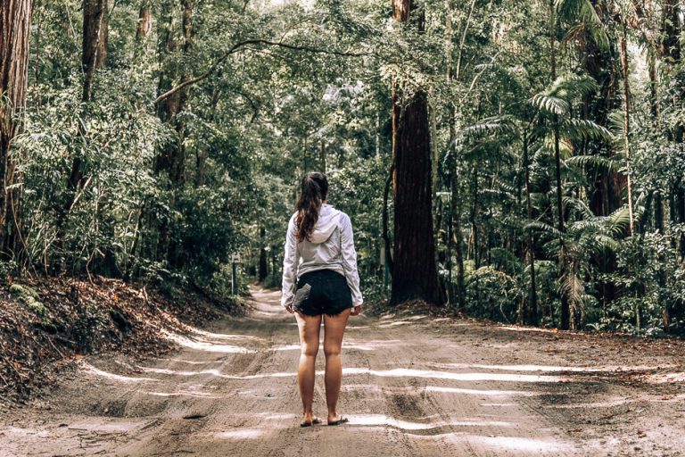 fraser island ohne tour