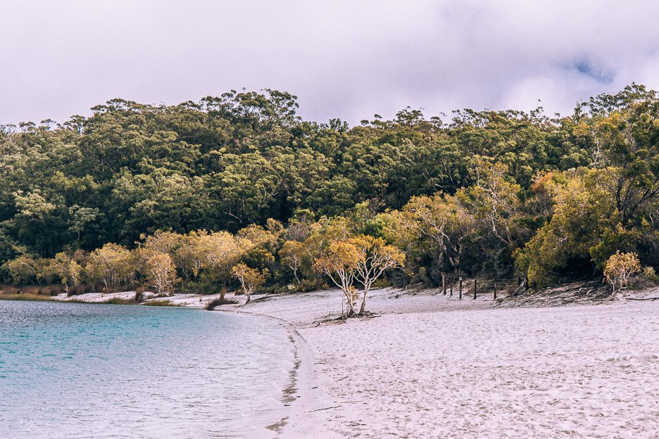 Beautiful shore of Lake McKenzie, Fraser Island