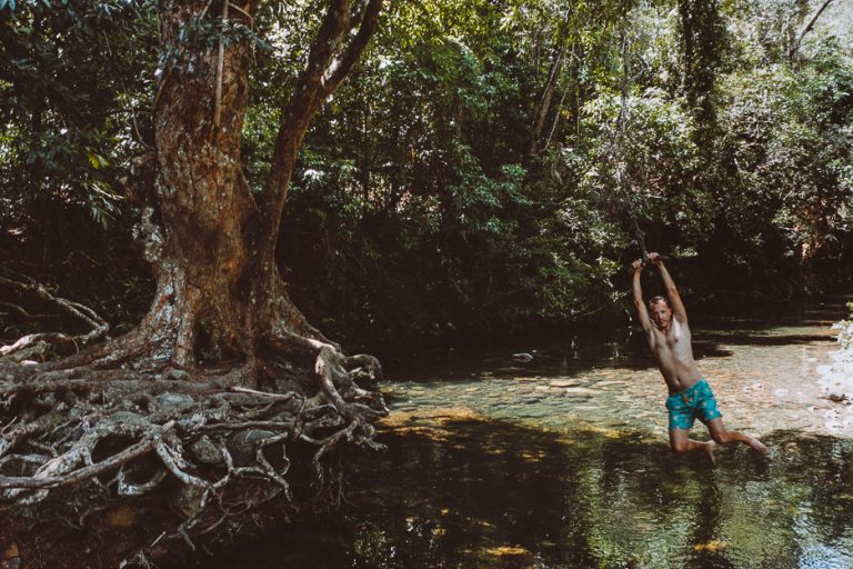 How To Get To Emmagen Creek Swimming Hole Cape Tribulation