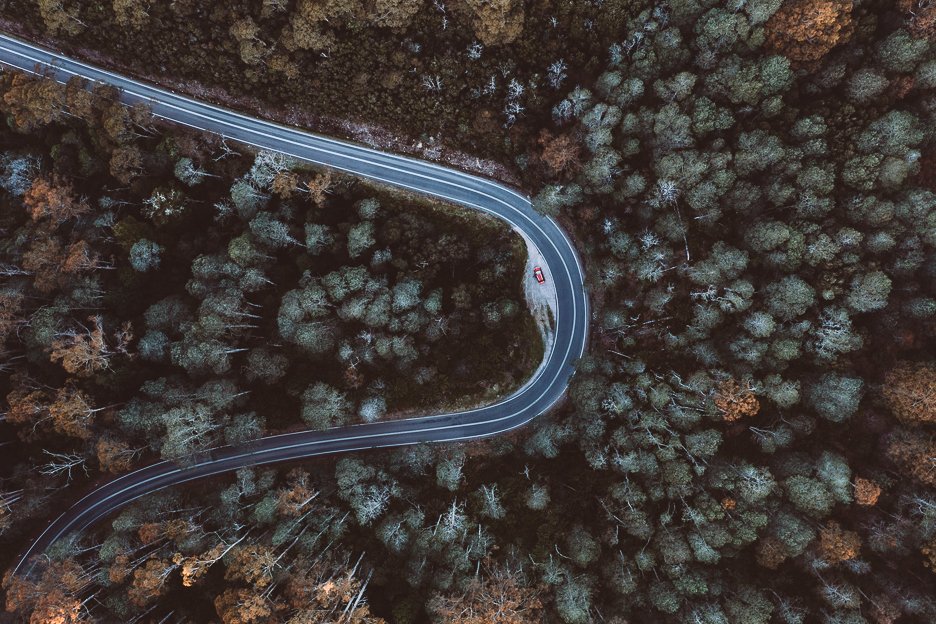 Hairpin turns in pine forests | ultimate aerial views of a Tasmania Road Trip