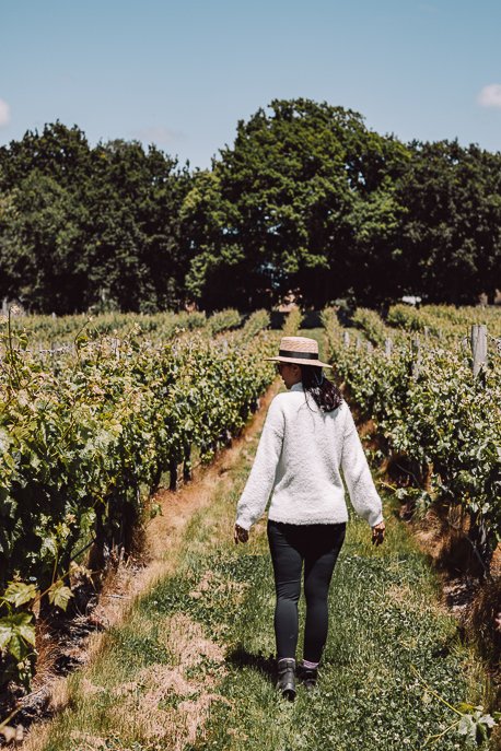 Wandering through vineyards in the Tamar Valley